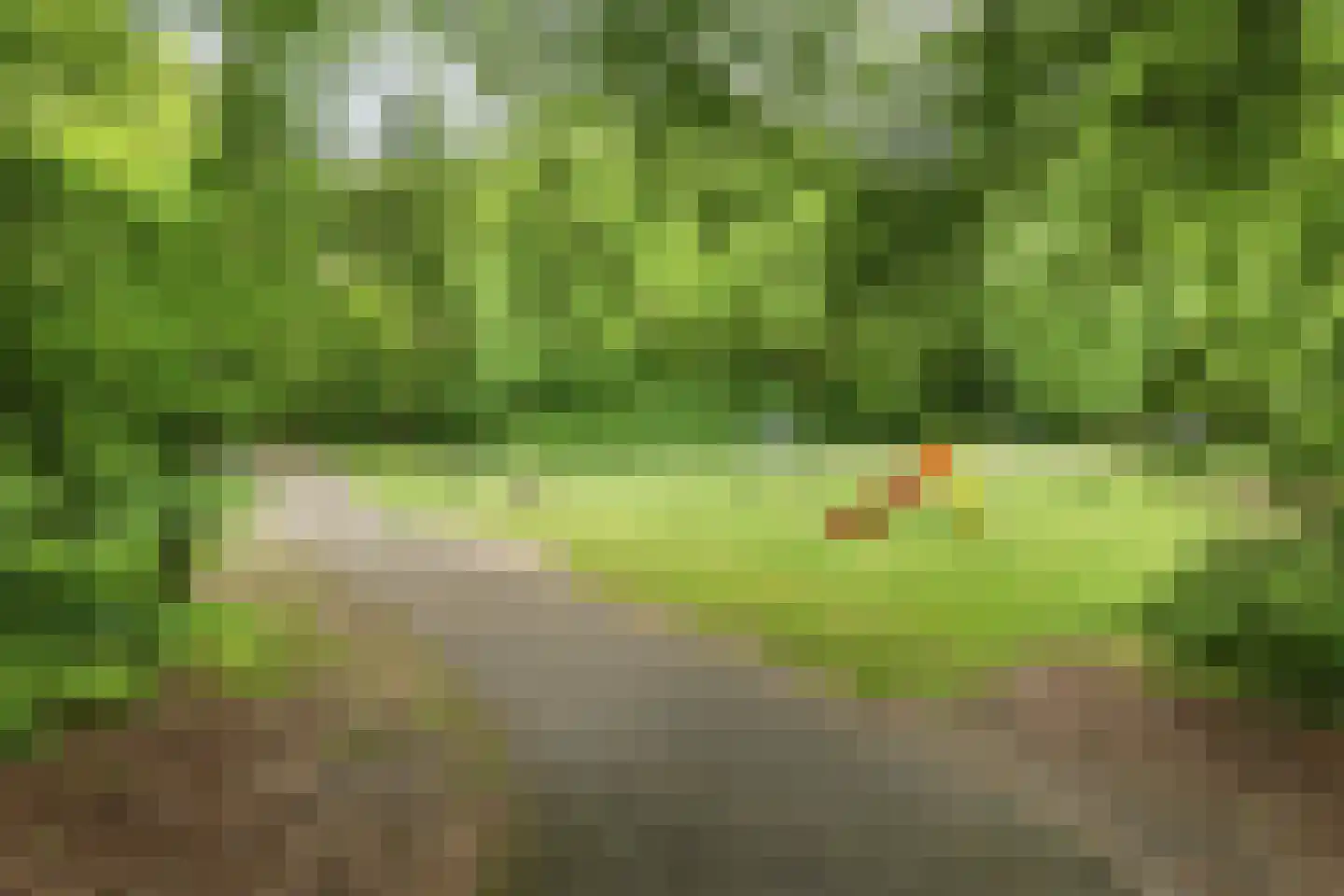 Achter de Bergen 30 Dongen thumbnail 51