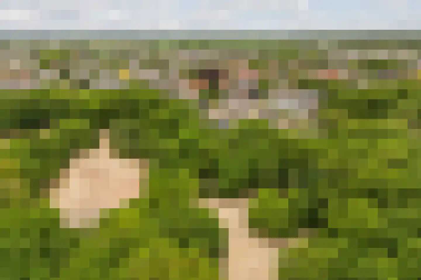 Achter de Bergen 30 Dongen thumbnail 52