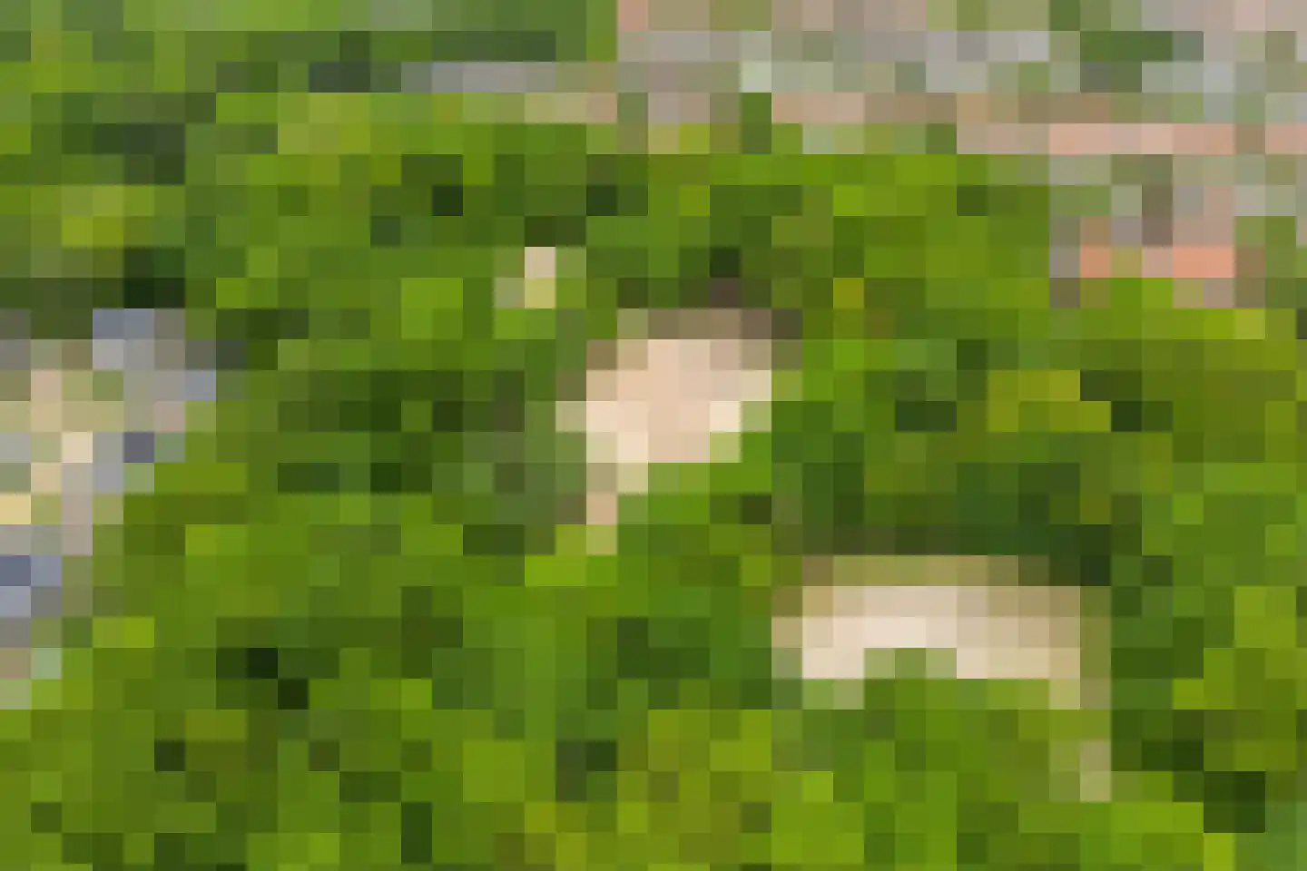 Achter de Bergen 30 Dongen thumbnail 53
