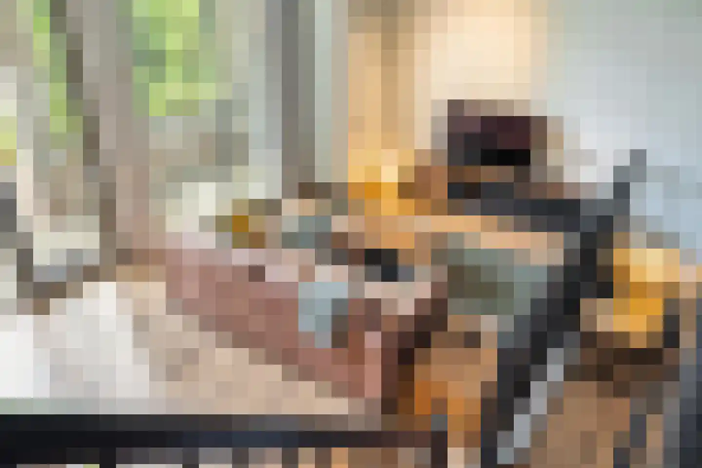 Achter de Bergen 30 Dongen thumbnail 6