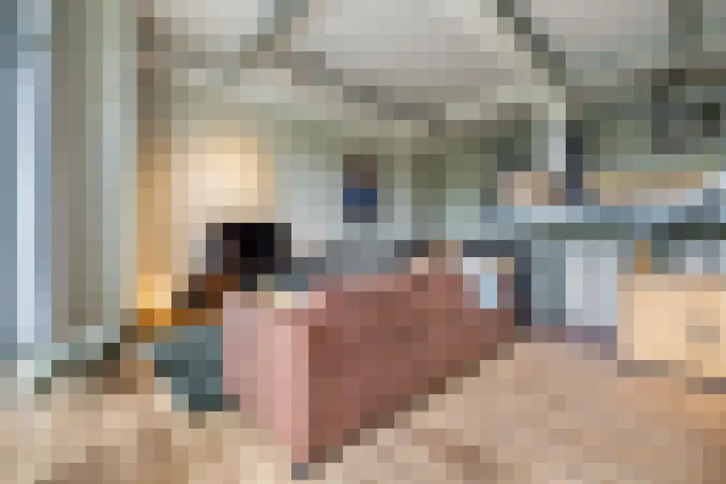 Achter de Bergen 30 Dongen thumbnail 7