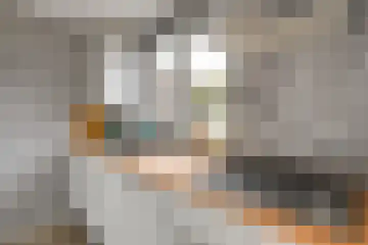Achter de Bergen 6 Honselersdijk thumbnail 10