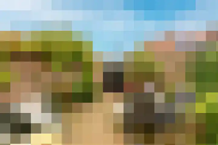 Achter de Bergen 6 Honselersdijk thumbnail 13