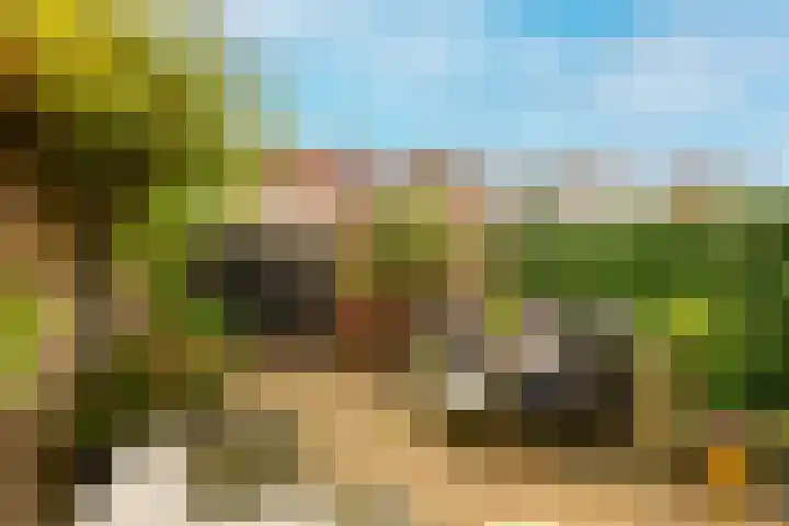 Achter de Bergen 6 Honselersdijk thumbnail 14