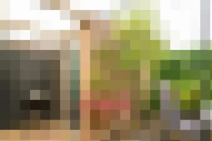 Achter de Bergen 6 Honselersdijk thumbnail 15
