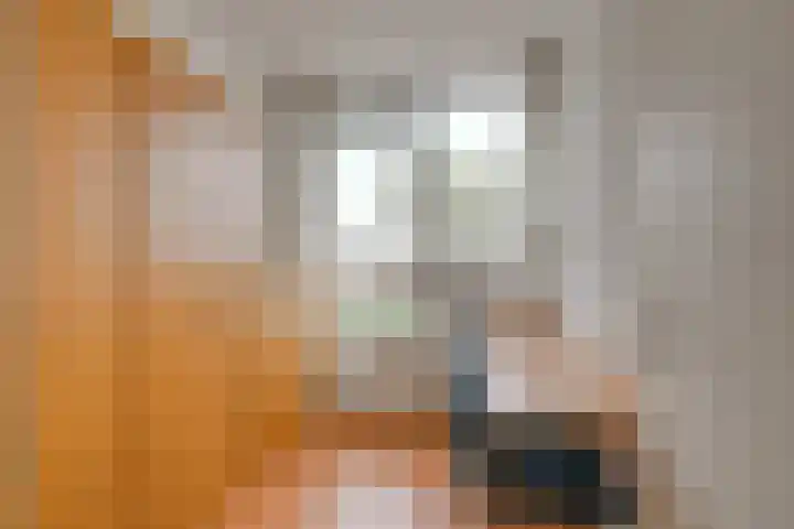 Achter de Bergen 6 Honselersdijk thumbnail 28
