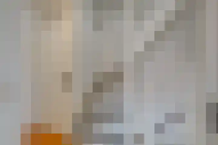 Achter de Bergen 6 Honselersdijk thumbnail 29