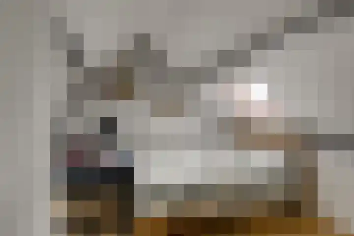 Achter de Bergen 6 Honselersdijk thumbnail 30