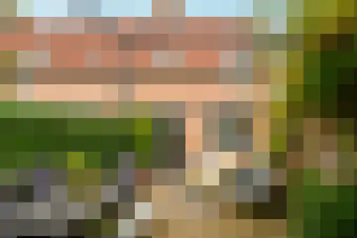 Achter de Bergen 6 Honselersdijk thumbnail 4