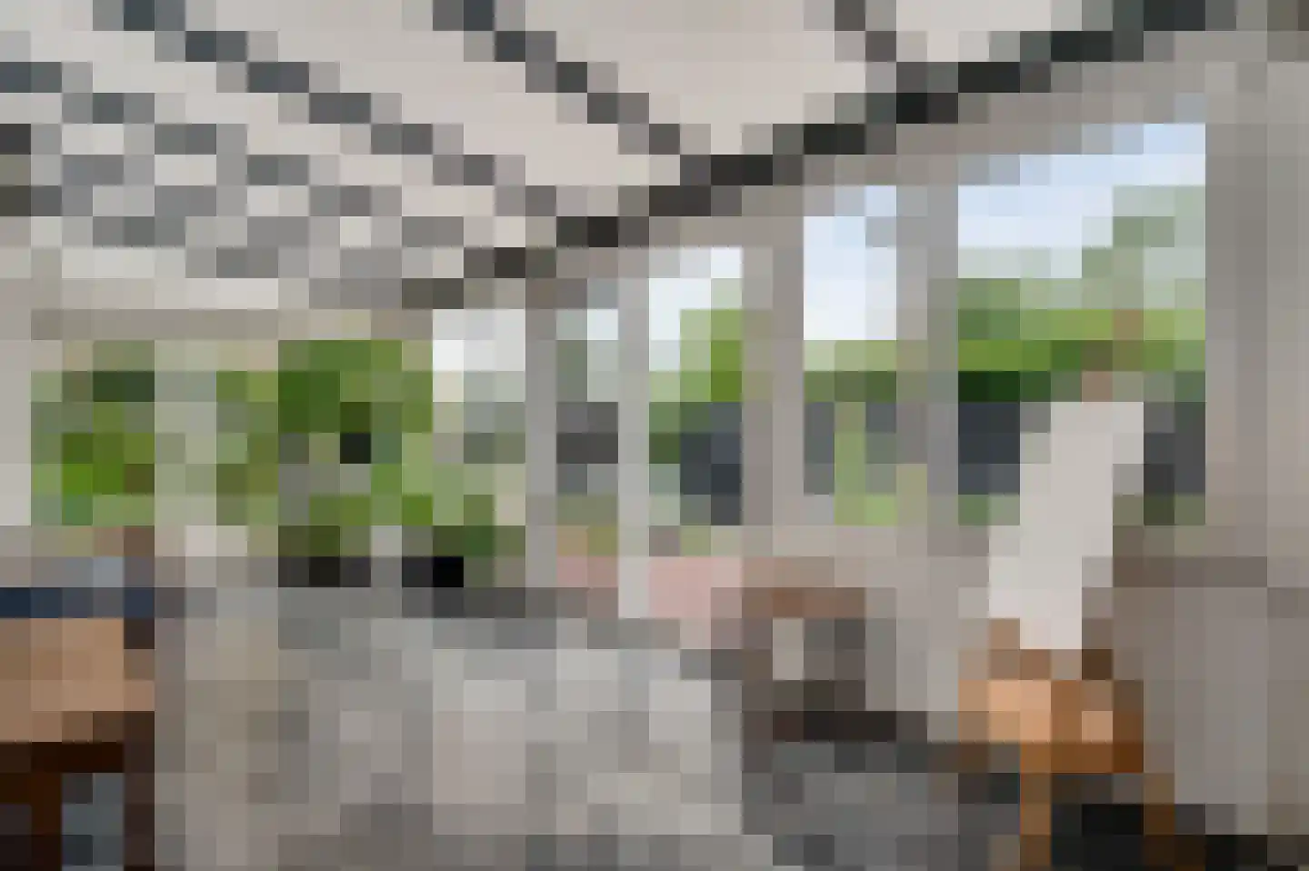 Achter de Biënberg 2 Wessem thumbnail 12