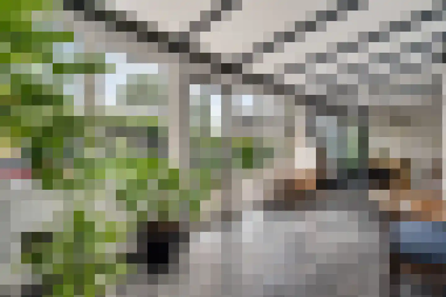 Achter de Biënberg 2 Wessem thumbnail 14