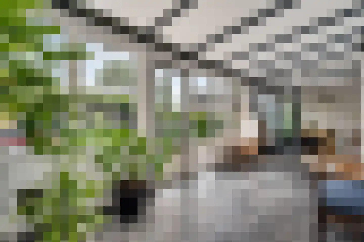 Achter de Biënberg 2 Wessem thumbnail 15