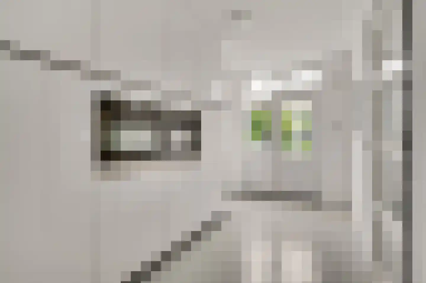 Achter de Biënberg 2 Wessem thumbnail 18