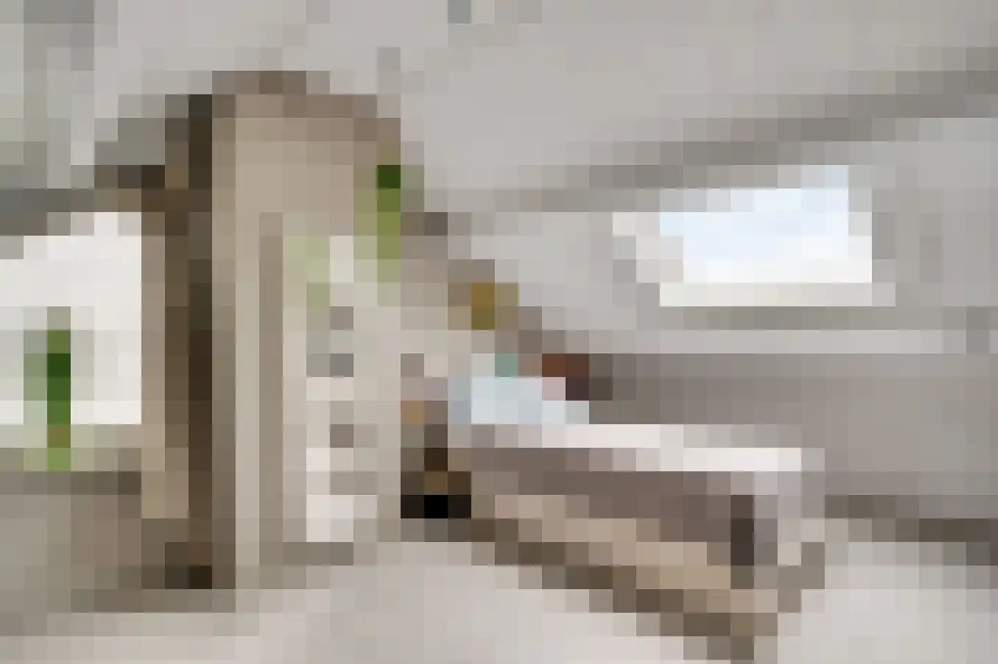 Achter de Biënberg 2 Wessem thumbnail 30