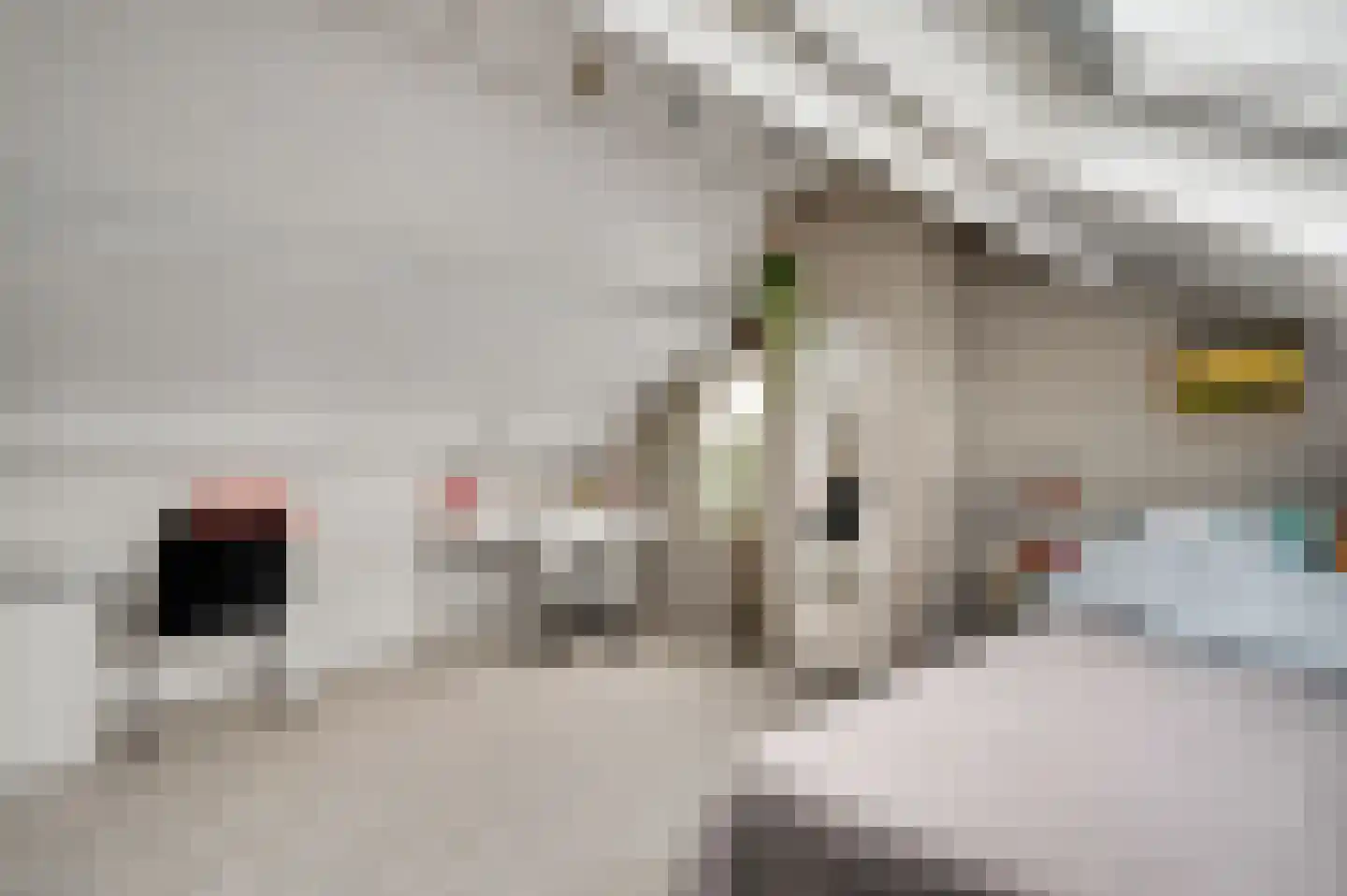 Achter de Biënberg 2 Wessem thumbnail 31
