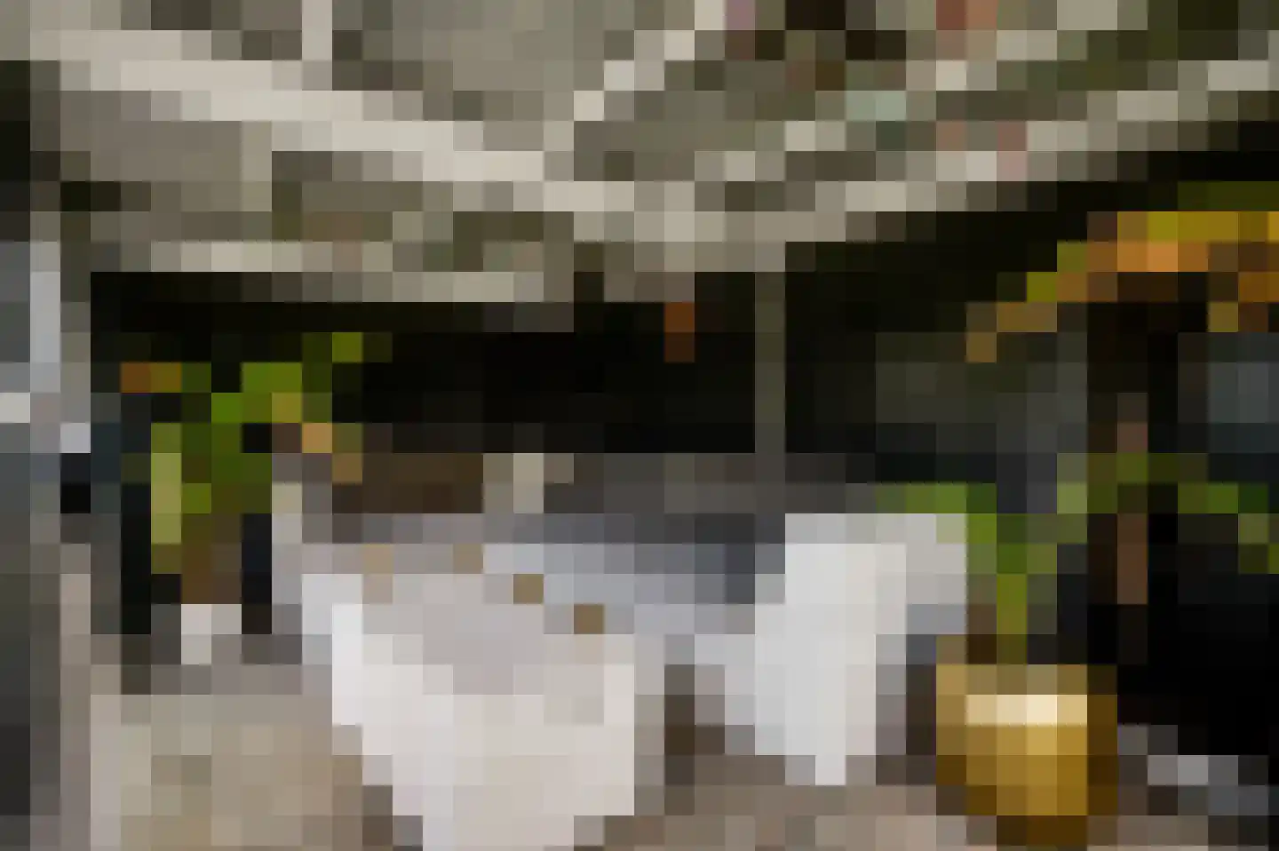 Achter de Biënberg 2 Wessem thumbnail 39