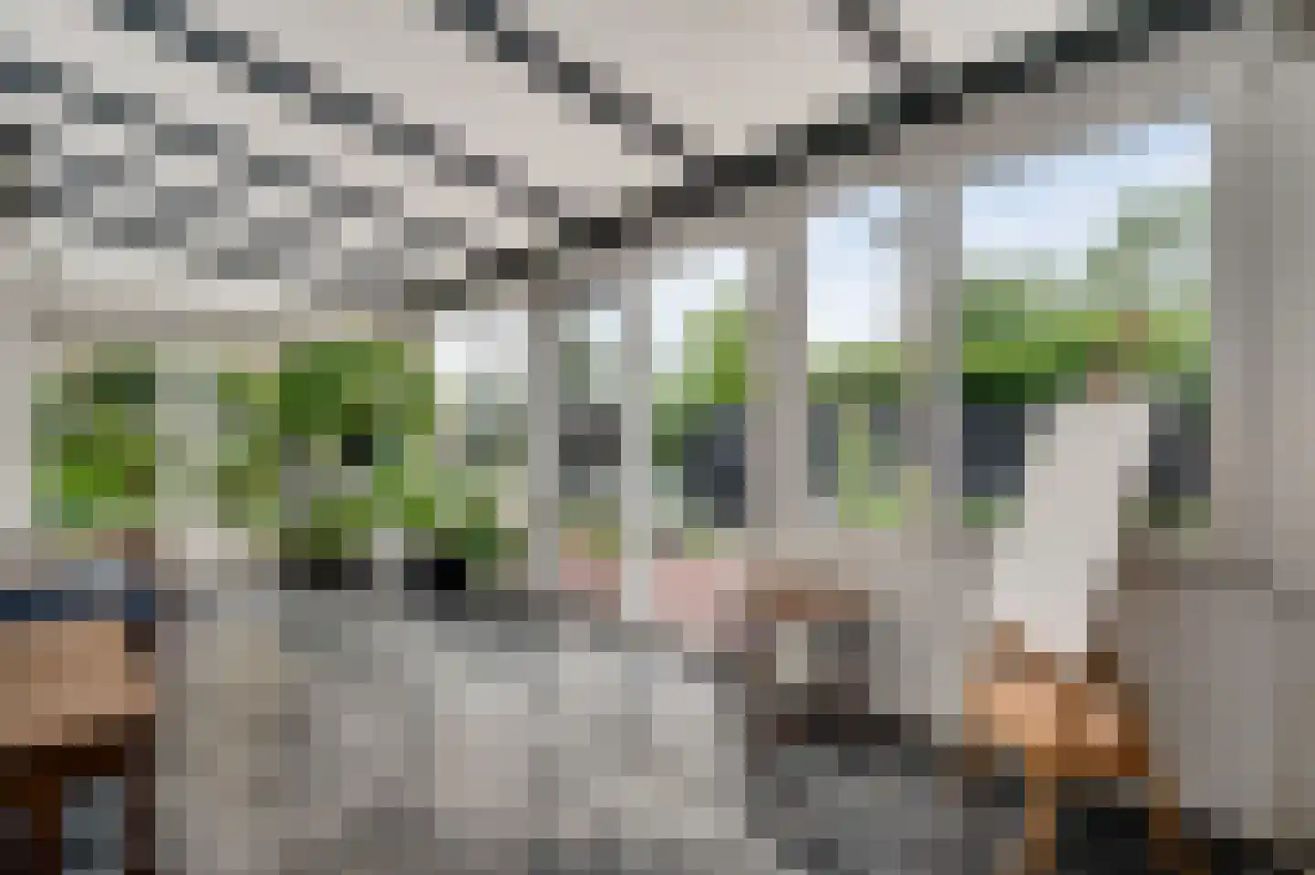 Achter de Biënberg 2 Wessem thumbnail 6