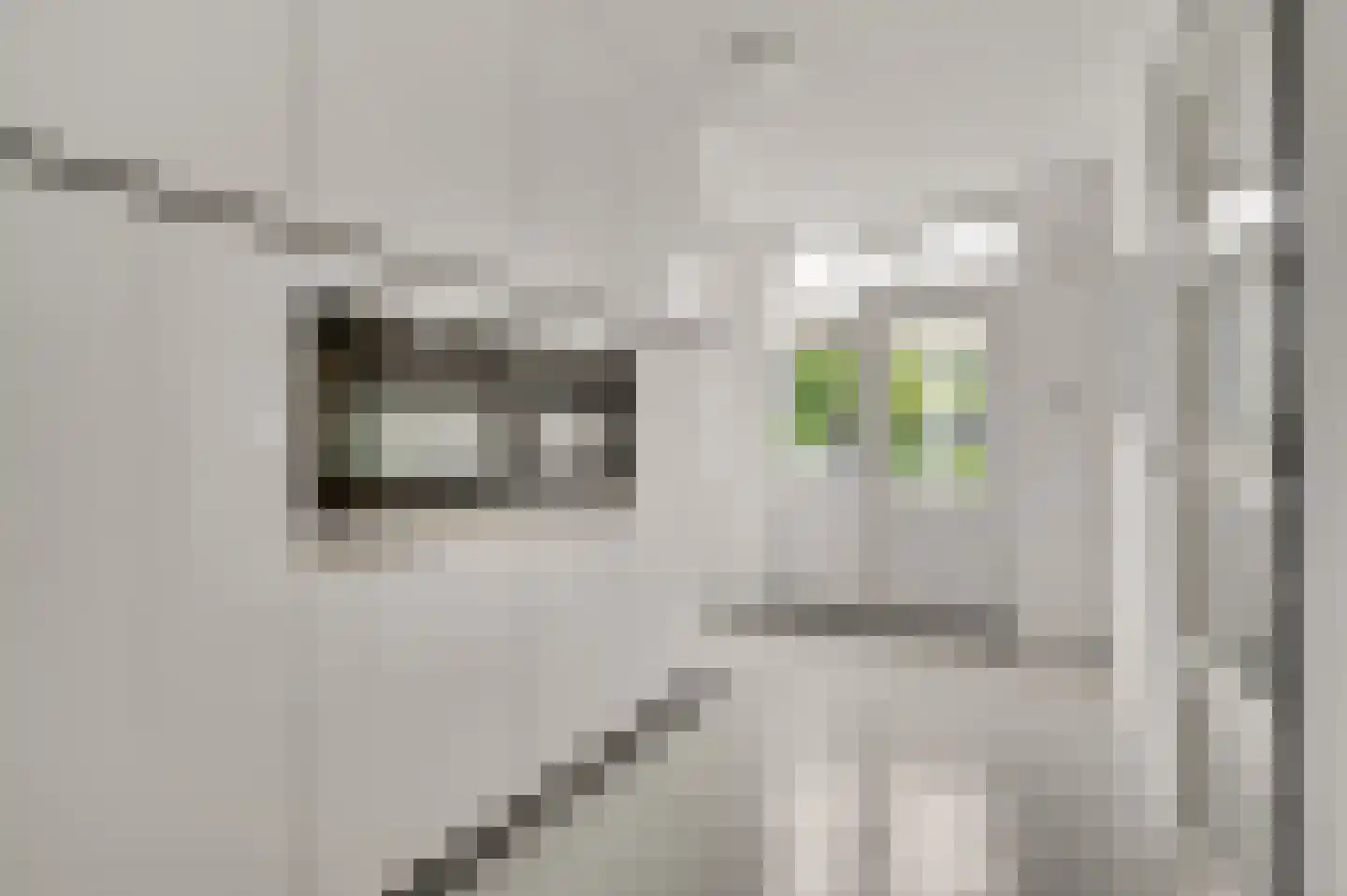 Achter de Biënberg 2 Wessem thumbnail 7
