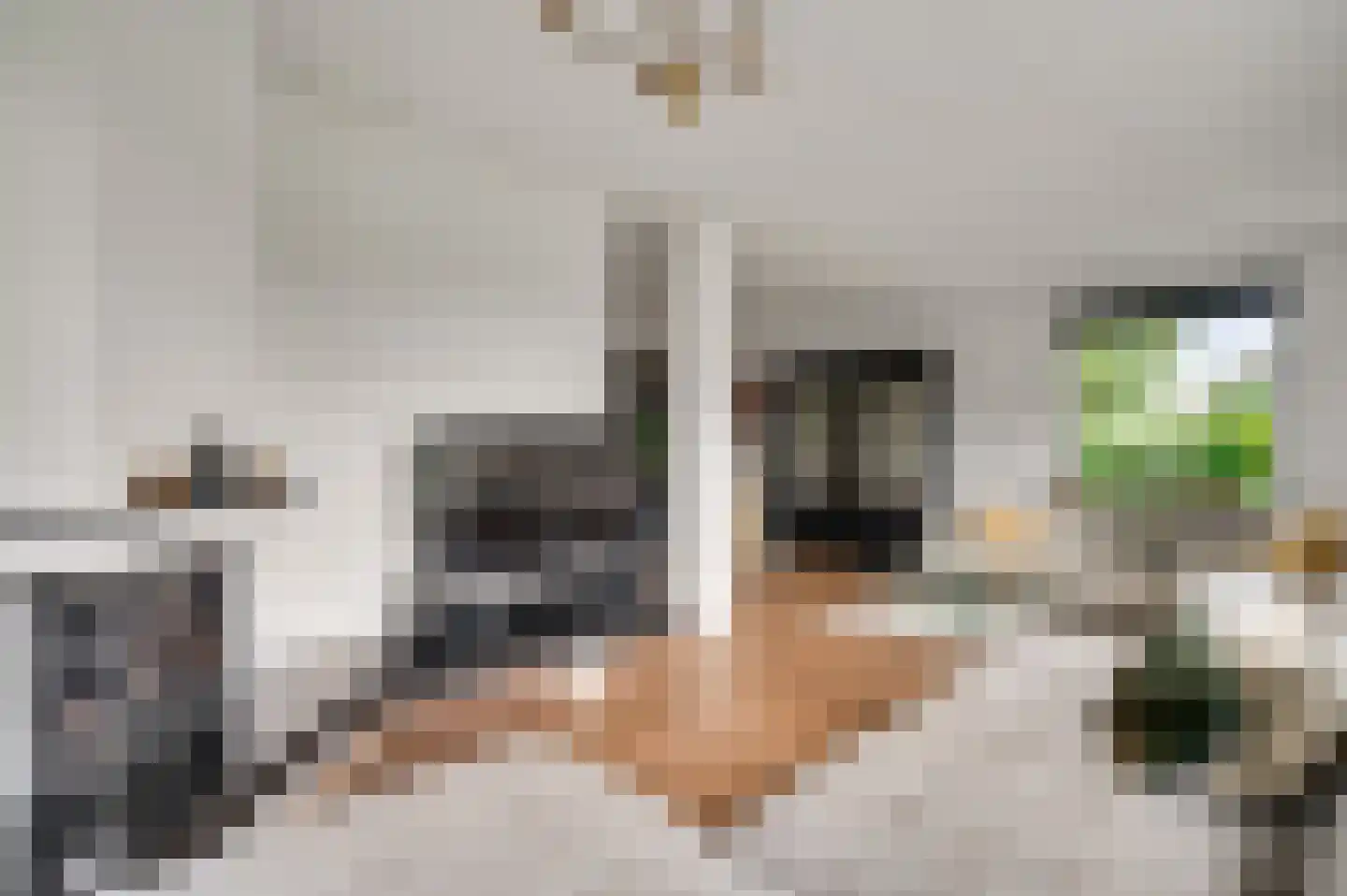 Achter de Biënberg 2 Wessem thumbnail 9