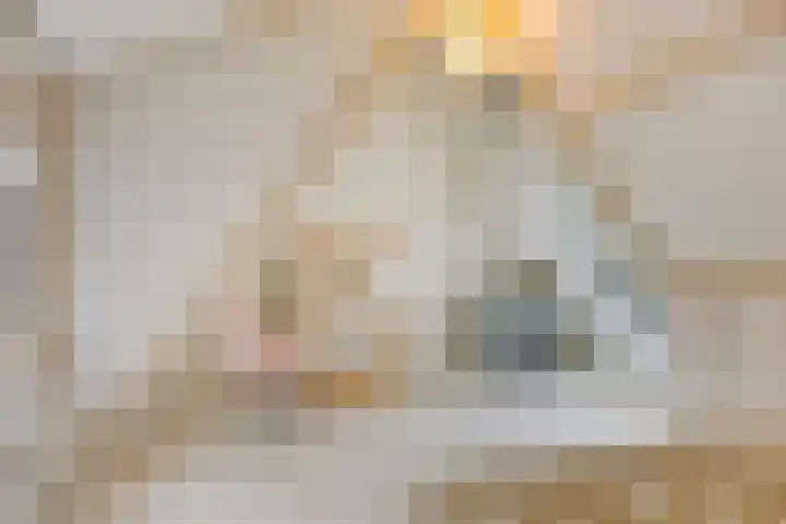 Achter de Bijenkorf 3 's-Hertogenbosch thumbnail 13