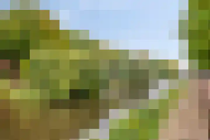 Achter de Bijenkorf 3 's-Hertogenbosch thumbnail 14