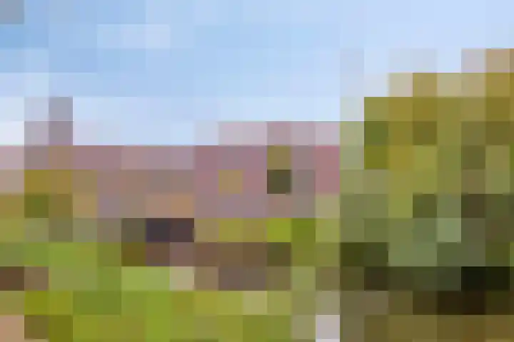 Achter de Bijenkorf 3 's-Hertogenbosch thumbnail 15