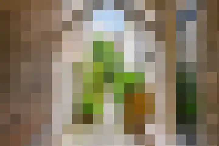 Achter de Bijenkorf 3 's-Hertogenbosch thumbnail 5