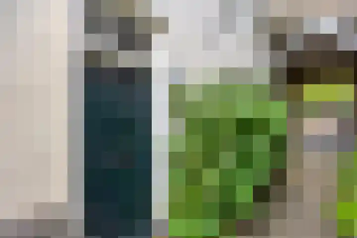 Achter de Bijenkorf 3 's-Hertogenbosch thumbnail 6