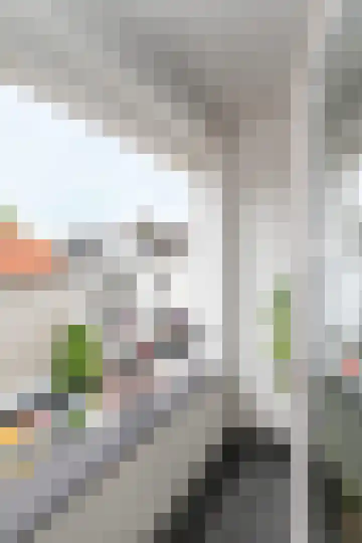 Achter de Boogaard 2 's-Hertogenbosch thumbnail 11