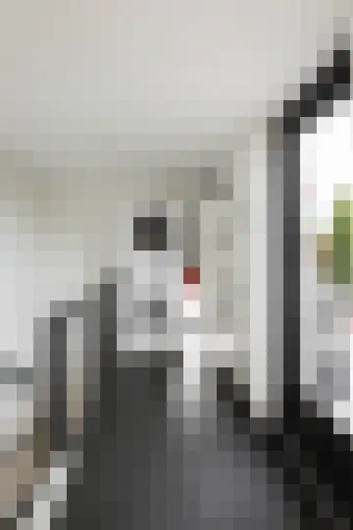 Achter de Boogaard 2 's-Hertogenbosch thumbnail 30
