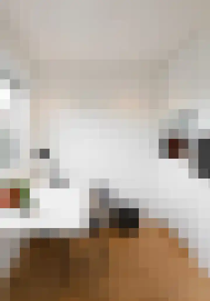 Achter de Boogaard 2 's-Hertogenbosch thumbnail 31