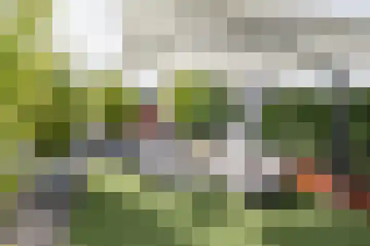 Achter de Boogaard 2 's-Hertogenbosch thumbnail 34