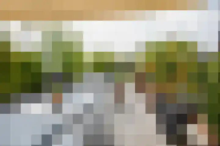 Achter de Boogaard 2 's-Hertogenbosch thumbnail 35