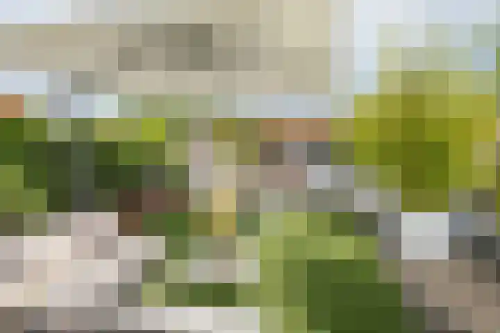 Achter de Boogaard 2 's-Hertogenbosch thumbnail 38