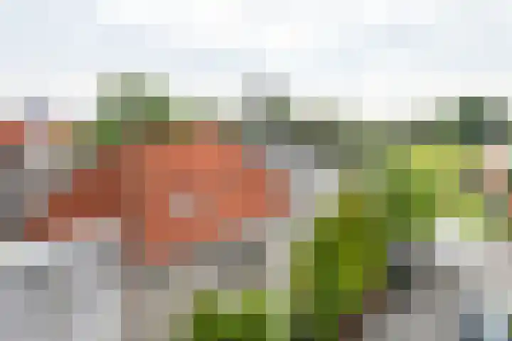 Achter de Boogaard 2 's-Hertogenbosch thumbnail 40