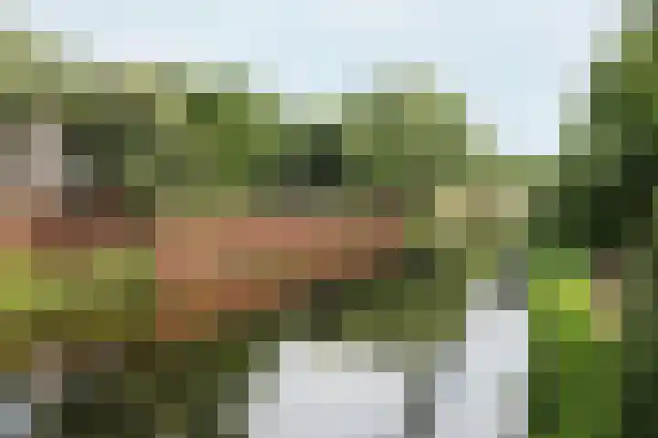 Achter de Boogaard 2 's-Hertogenbosch thumbnail 48