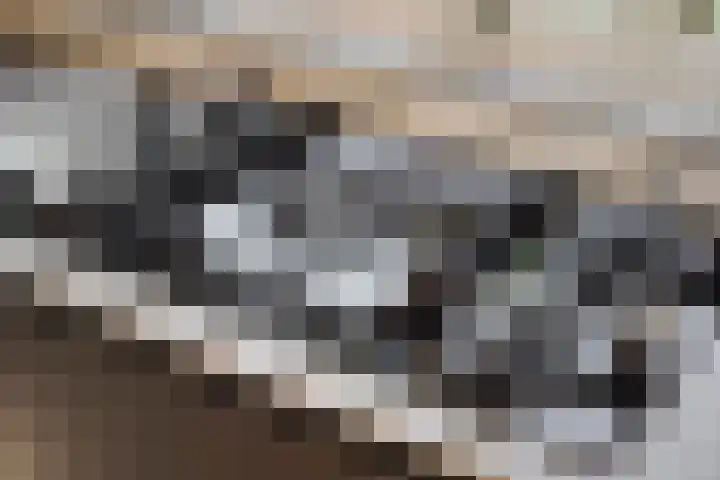 Achter de Bredase Wagen 13 Vught thumbnail 14
