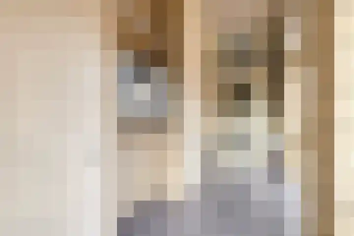 Achter de Brink 27 Borger thumbnail 10