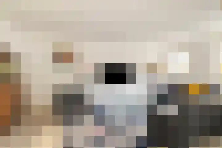 Achter de Brink 27 Borger thumbnail 18