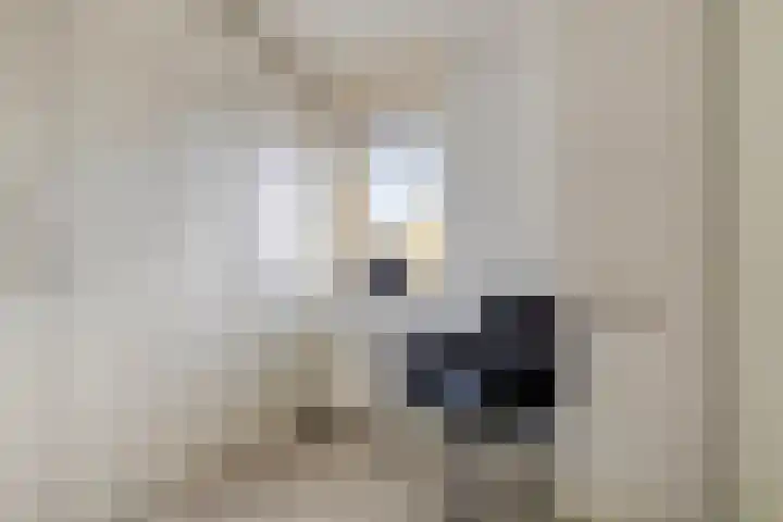 Achter de Brink 27 Borger thumbnail 33