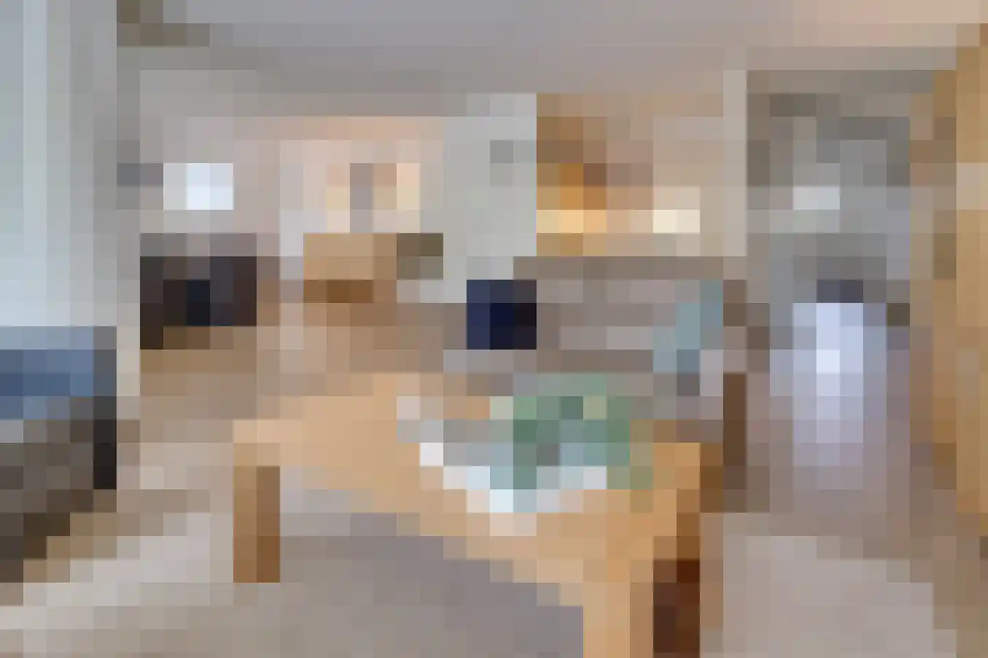 Achter de Brink 7 Borger thumbnail 11