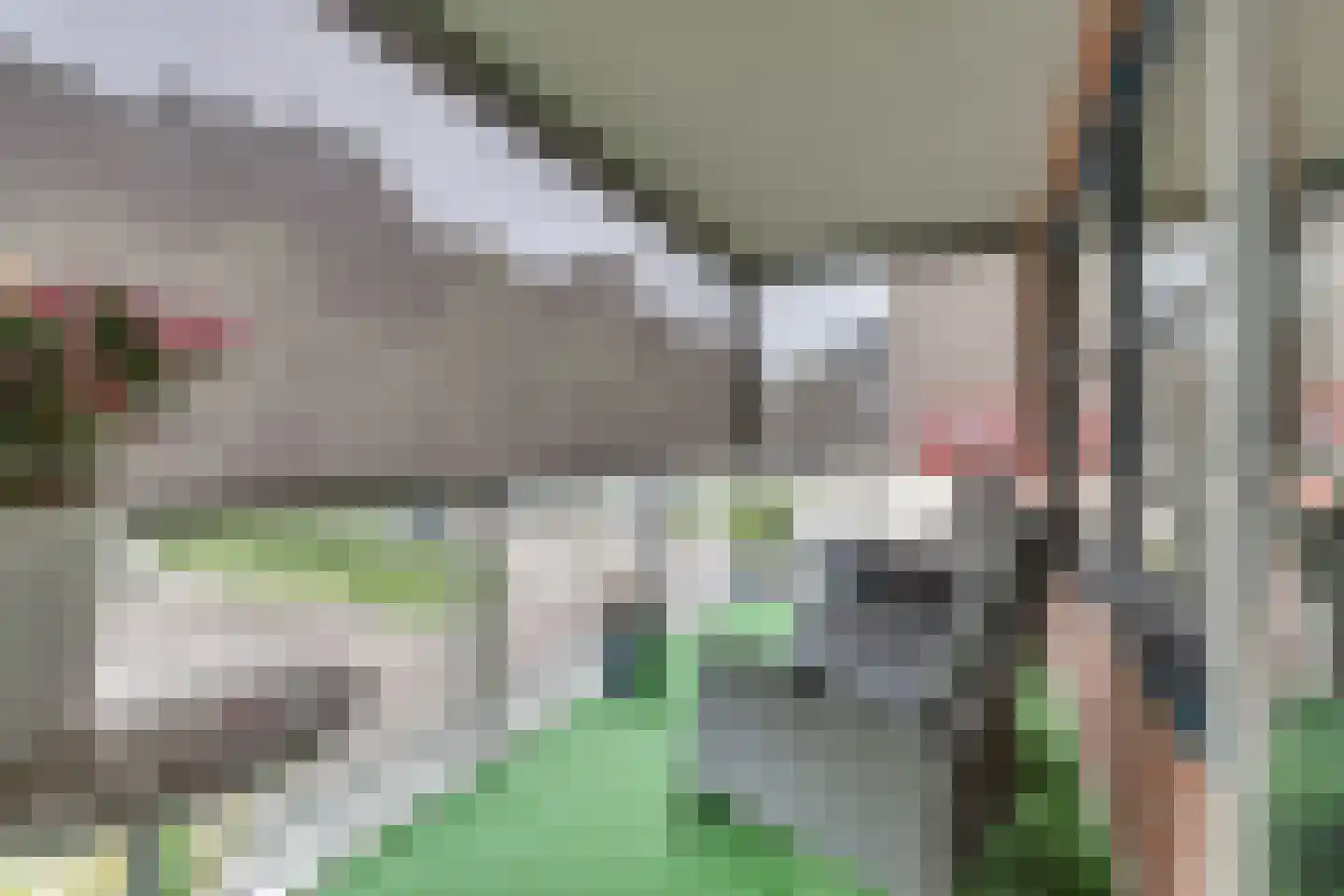 Achter de Brink 7 Borger thumbnail 15