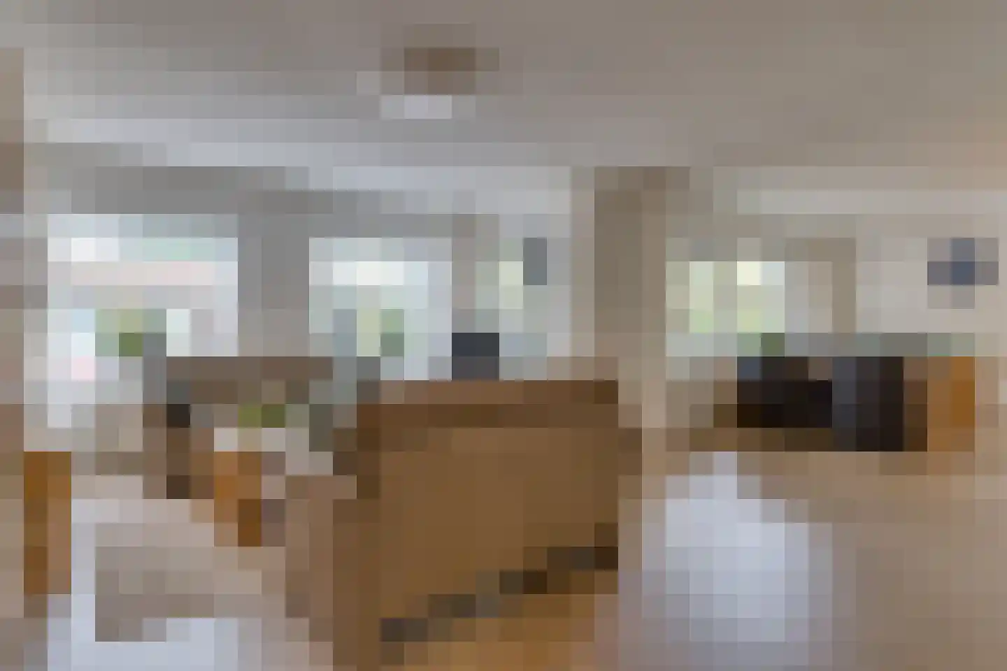 Achter de Brink 7 Borger thumbnail 8