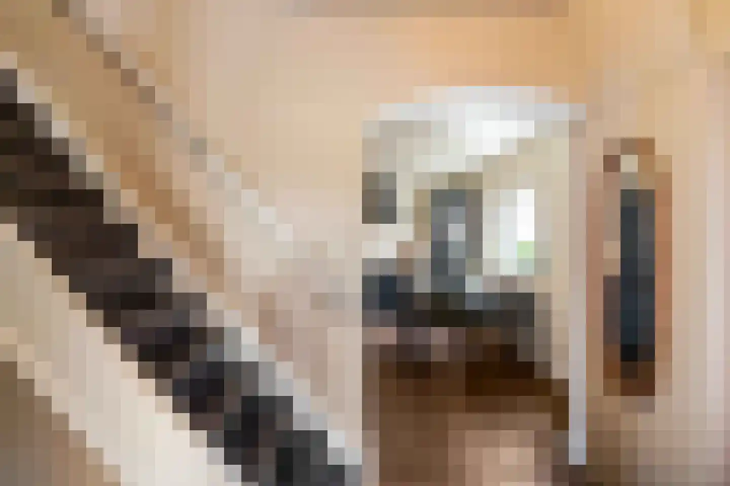 Achter de Brinken 15 Gasselte thumbnail 21
