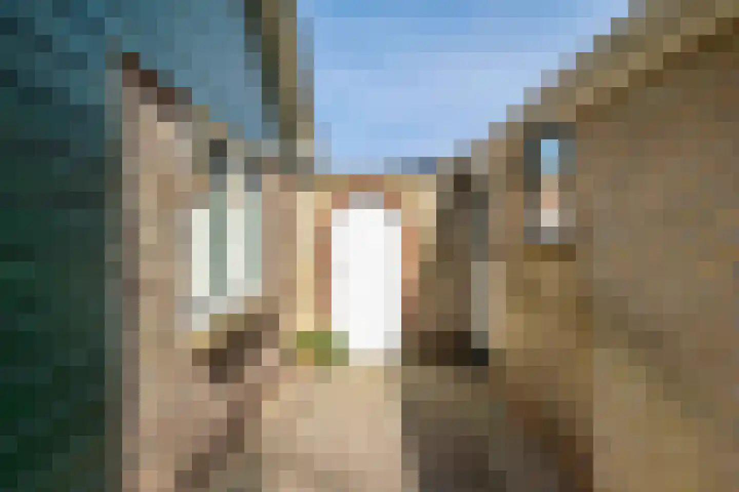 Achter de Brinken 15 Gasselte thumbnail 44