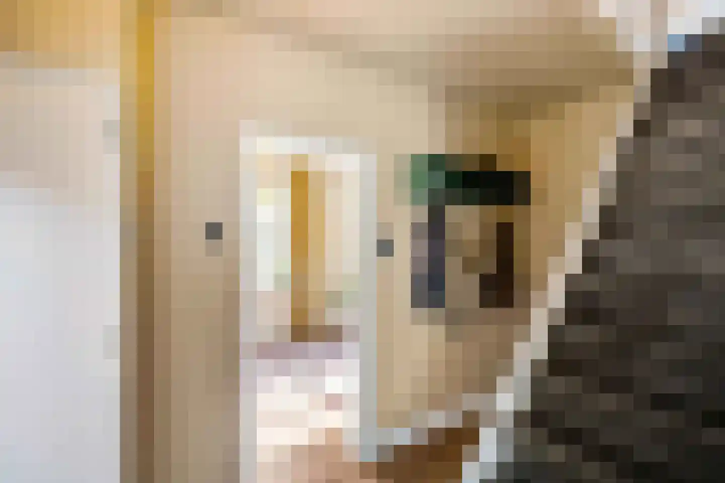 Achter de Brinken 15 Gasselte thumbnail 9