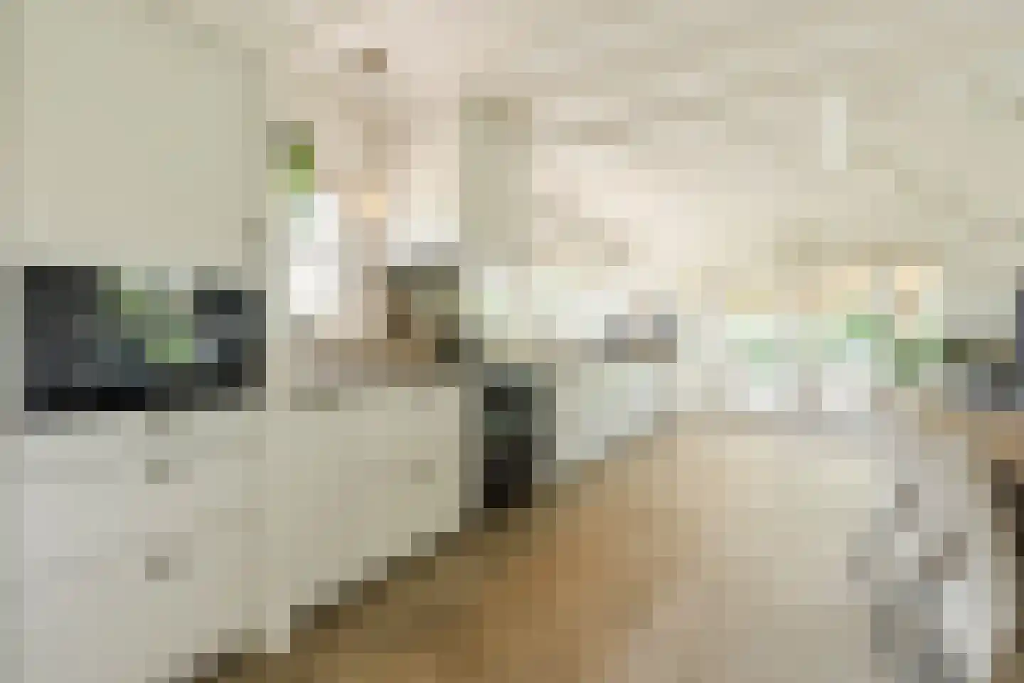 Achter de Broeken 6 Ruinen thumbnail 13