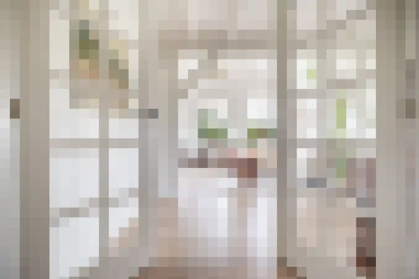 Achter de Broeken 6 Ruinen thumbnail 15