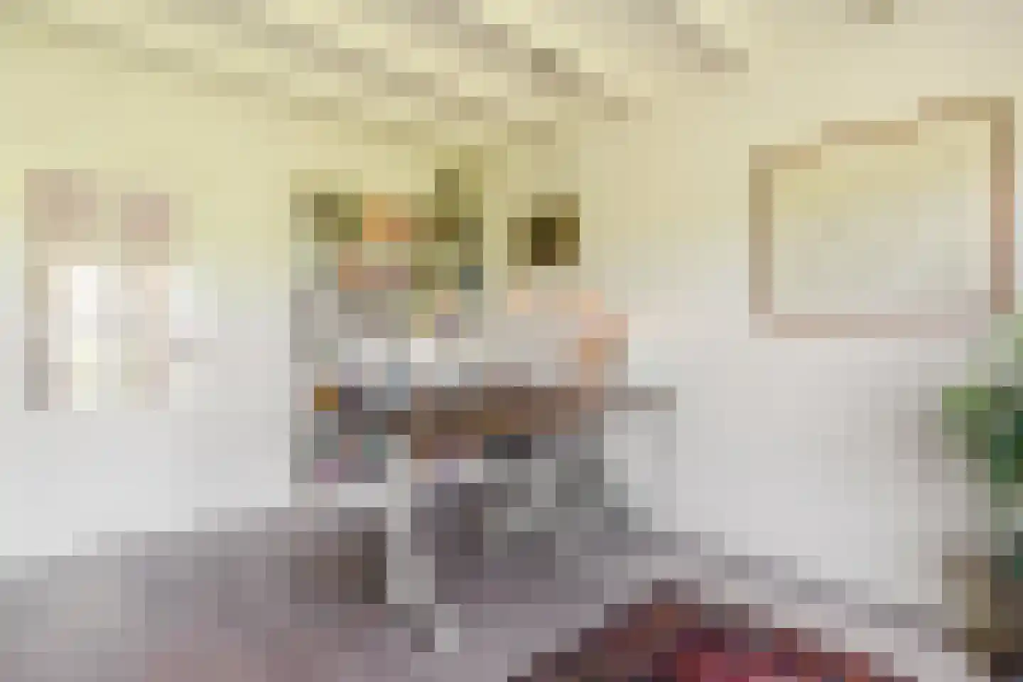 Achter de Broeken 6 Ruinen thumbnail 19