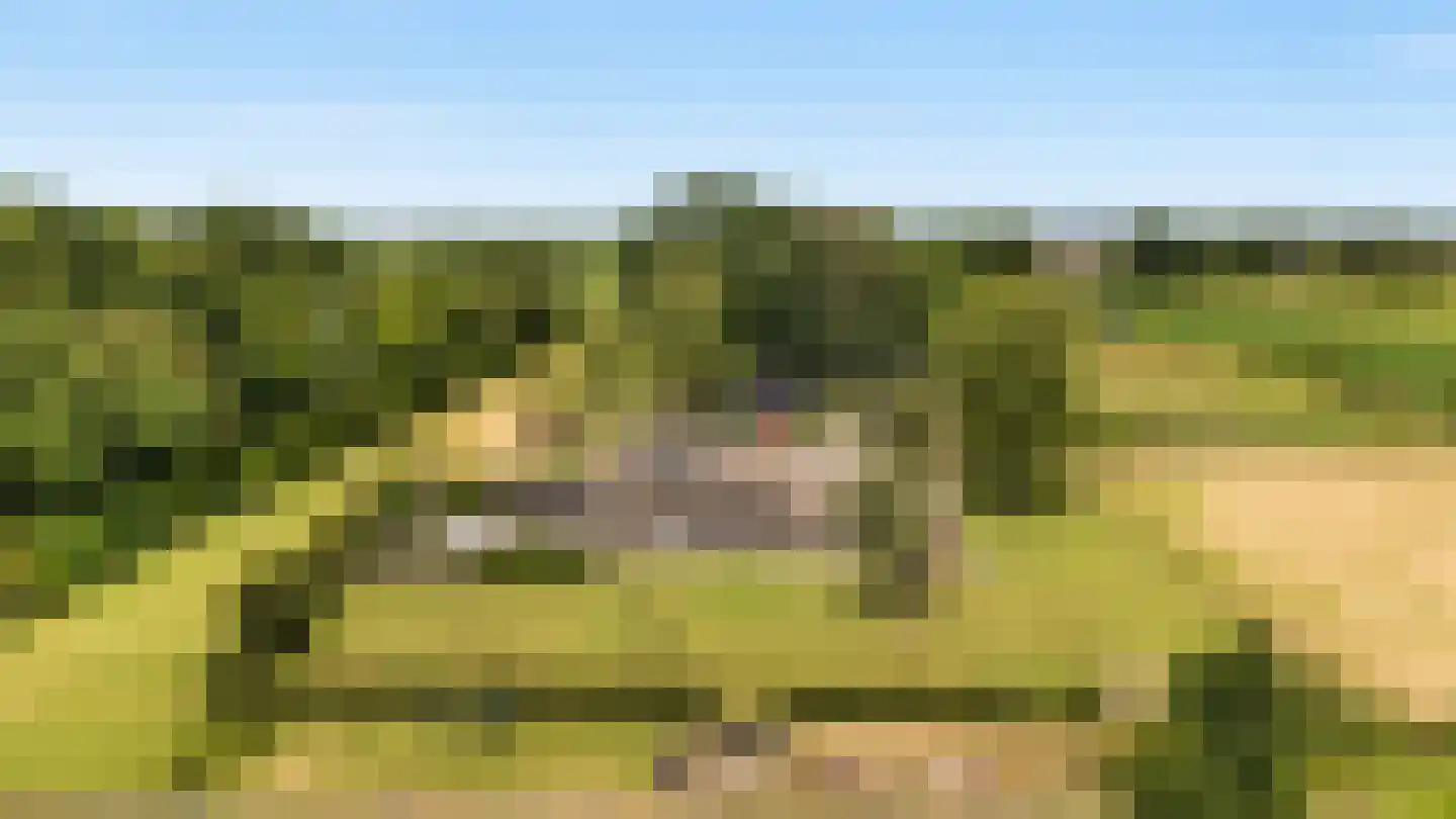 Achter de Broeken 6 Ruinen foto 2